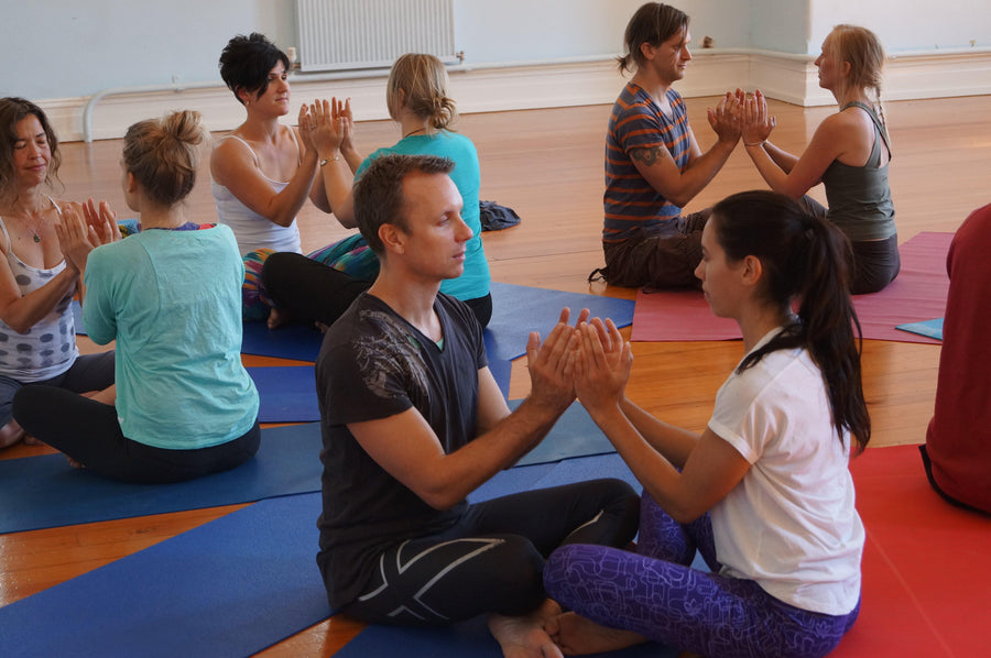 TEACHING AND BUSINESS MENTORSHIP PROGRAM - RainbowYogaTraining